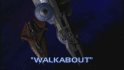 Walkabout